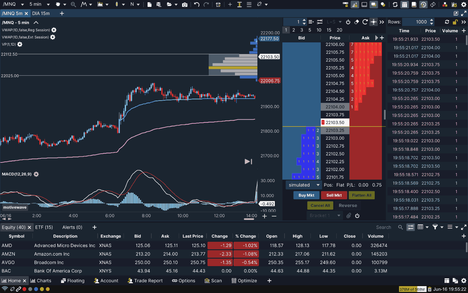  MotiveWave
							Charting Interface